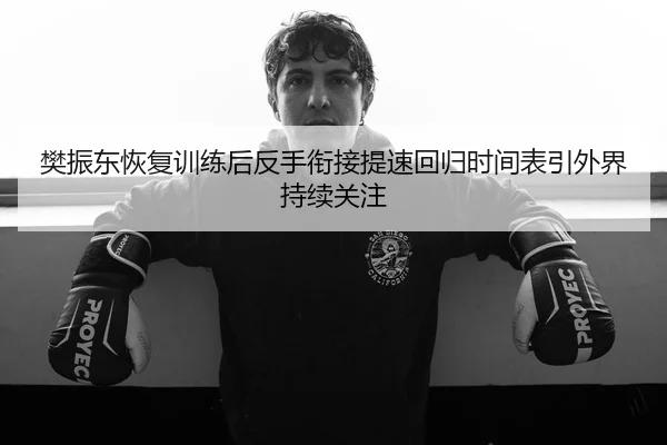 樊振东恢复训练后反手衔接提速回归时间表引外界持续关注